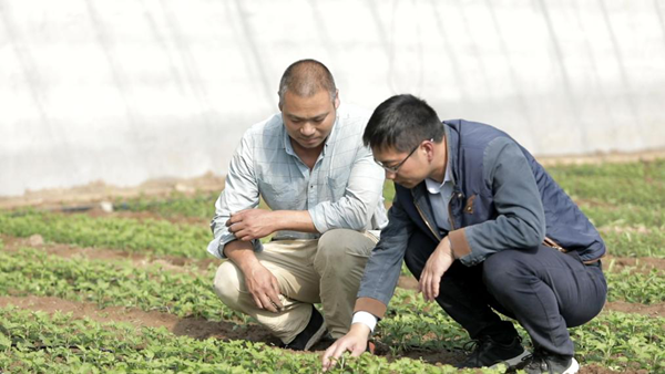 /gb2312/xianqugonghui/12807.html